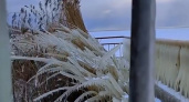 Сказочная красота! Что можно увидеть на Куршской косе во время сильных морозов? (ВИДЕО)
