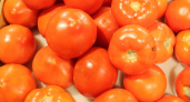 В тоннах импортных томатов, привезенных в Калининград, обнаружили вирус! Что сделают с этими овощами?