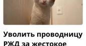 Более 50 тысяч человек просят уволить проводницу из-за гибели кота Твикса