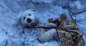 В Нижневартовске спасли погребенную под снег собаку (ВИДЕО)