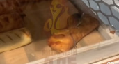 Очередную крысу в магазине продуктов в Калининграде обнаружили покупатели. На этот раз в хлебном отделе ( ВИДЕО)