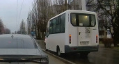 Как объяснил свой поступок водитель маршрутки, который на скорости проехал по тротуару в Калининграде