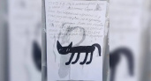 «Помогите найти черного-черного котика. Он не живой» трагическая история пропажи в городе Пермь