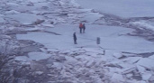 Плыли на льдине трое детей, не считая собаки. Путешествие прервали сотрудники МЧС 