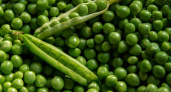 Диетолог рассказала, почему чаще стоит есть зеленый горошек