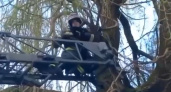 «Нам важна каждая жизнь» - сказали сотрудники МЧС России и выдвинулись спасать беременную кошку из города Советска 