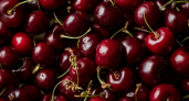 Черешневый бум в Калининградской области: сербский импорт и местный урожай радуют жителей региона