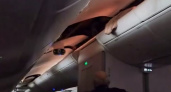 После этого пассажира пришлось вытаскивать из багажной полки. Что случилось во время полета на борту Boeing 787 (ВИДЕО)