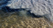 «Море стало больше похоже на канализацию» Стало известно, из-за чего вода около пляжа в Пионерском окрасилась в серый