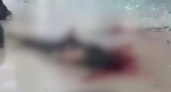 Вокзальная трагедия: Террорист открыл огонь по посетителям ресторана, видео расстрела посетителей
