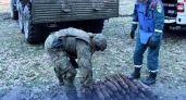 Туристы буквально ходили по взрывчатке. Сколько снарядов удалось обнаружить саперам под Балтийском