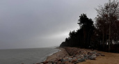 Синоптики рассказали о погоде в Калининграде на 7 ноября