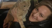 Девочки похитили кота из магазина, но история завершилась чудом: Как тысячи людей спасали пропавшего кота 