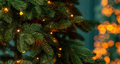 Токсично и небезопасно: эксперты раскрыли секреты искусственных елок 
