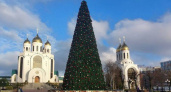 Волшебство на площади: в центре Калининграда засияла новогодняя ёлка