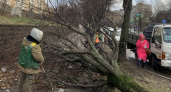 Елена Дятлова озвучила масштабы ущерба от циклона в Калининграде