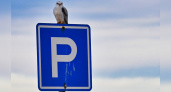 Где и когда в Калининграде еще несколько парковок станут платными: официальная информация от мэрии