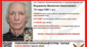 В Багратионовском районе ищут 73-летнего мужчину, пропавшего вместе с двумя собаками