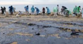 В Краснодарском крае снова обнаружены следы мазута на пляжах после аварии с танкерами