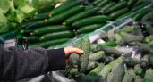 Сезонное снижение: цены на огурцы могут упасть на 20% в мае