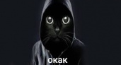 Новый мем «Окак» стал вирусным в соцсетях: что за черный кот в капюшоне и зачем он в вашей ленте