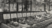 Страшнейшая авиакатастрофа СССР: трагедия в Светлогорске 1972 года, о которой молчали до распада Союза