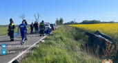 Смертельная авария под Гурьевском: водитель погиб, врезавшись в дерево
