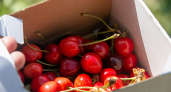 Риск для здоровья: врач назвала неожиданную группу людей, которой противопоказана черешня