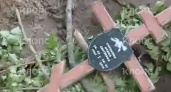 Могилы под ковшом: под Зеленоградском сносят кладбище первых калининградцев