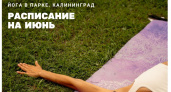 Четыре площадки по городу: где в Калининграде найти бесплатную йогу этим летом
