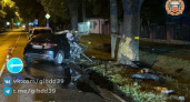 В Калининграде Honda протаранила две машины и врезалась в дерево: пострадали водитель и пассажир