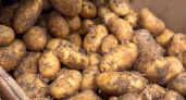 Картофель — дороже, чем икра: в Калининградской области резко подорожали продукты первой необходимости
