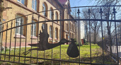 Подарок ко Дню города: в Калининграде 29 семей стали родителями новорождённых