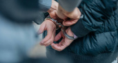 Страшнее, чем в кино: в Подмосковье мужчина несколько лет насиловал двоих подростков