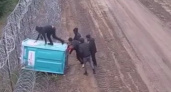 Через границу на биотуалете: в Польше задержали пятерых нарушителей