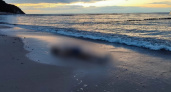 В Светлогорске нашли тело пожилого туриста — СК выясняют обстоятельства