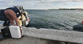 Ехали стоя и без жилетов: туристы возмутились работой водного такси на Балткосе в шторм