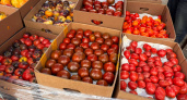 Цены на продукты в Калининграде: сезонные овощи подешевели, но некоторые позиции шокируют