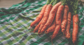 Сажаю морковь в сентябре — весной хрустящий и сладкий урожай уже готов, всем соседям на зависть