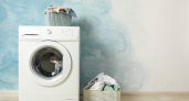 С 1 сентября владельцам стиральных машин грозят штрафы до 50 000 рублей: разбираем реальные случаи
