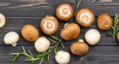 Тайны шампиньонов: когда вкусный гриб может превратиться в опасный — важные советы для калининградцев