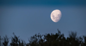 Луна почти полная: какие ошибки нельзя допустить в 6-й лунный день