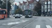 Троллейбусный коллапс в центре Калининграда — Ленинский проспект встал из-за поломки