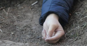 Нашли в кустах: в Калининграде рядом с элитными таунхаусами обнаружили тело мужчины