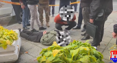 В Калининграде молодой мужчина по чужой указке поджёг служебное авто полиции — возбуждено уголовное дело