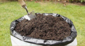 Муравьи, слизь и запах в компосте: эти ошибки убивают удобрение — как спасти кучу прямо сейчас, хитрости от заядлых дачников