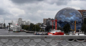 Как собака на калининградском мосту спровоцировала пробку — люди вместе спасли животное