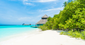 Точно такой же белый песок и бирюза, как на Мальдивах, но в 2 раза дешевле: куда полететь за впечатлениями весной 2026 года