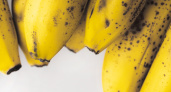 Эксперты поставили жирную точку в вопросе: можно ли есть банан с черными точками на кожуре