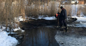 Спасение замерзающих: в Балтийске прорубили лед в канале, чтобы помочь птицам